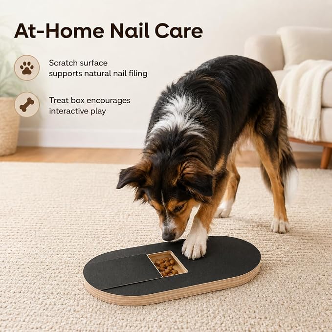 Dog Nail Scratch Board Scratcher Treat Dispenser Non-Slip Nail File Board (C)