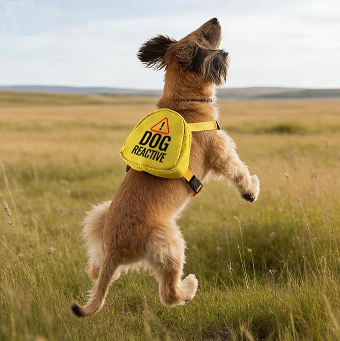 Reactive Dog Backpack Dog Reactive Travel Bag Dog Walking Slogan Puppy Snack Storage (Dog Reactive)