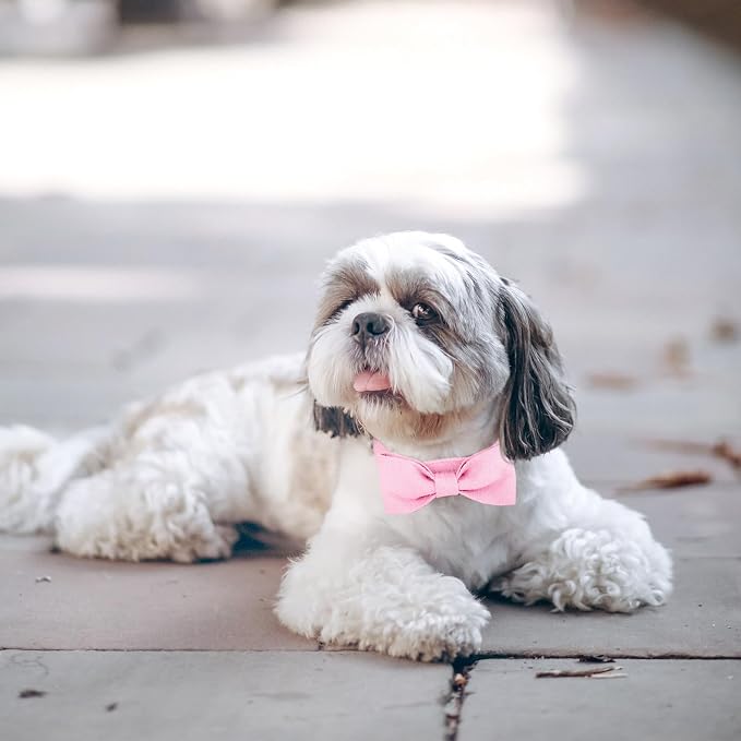 Segarty Dog Bow Tie Collar, Adjustable Pink Bowtie for Small Medium Dogs Neck Girth 10.2-14.2in, Cat Tie Tuxedo Comfortable Cotton Girl Pet Grooming Accessory for Formal Wedding Holiday Birthday Party