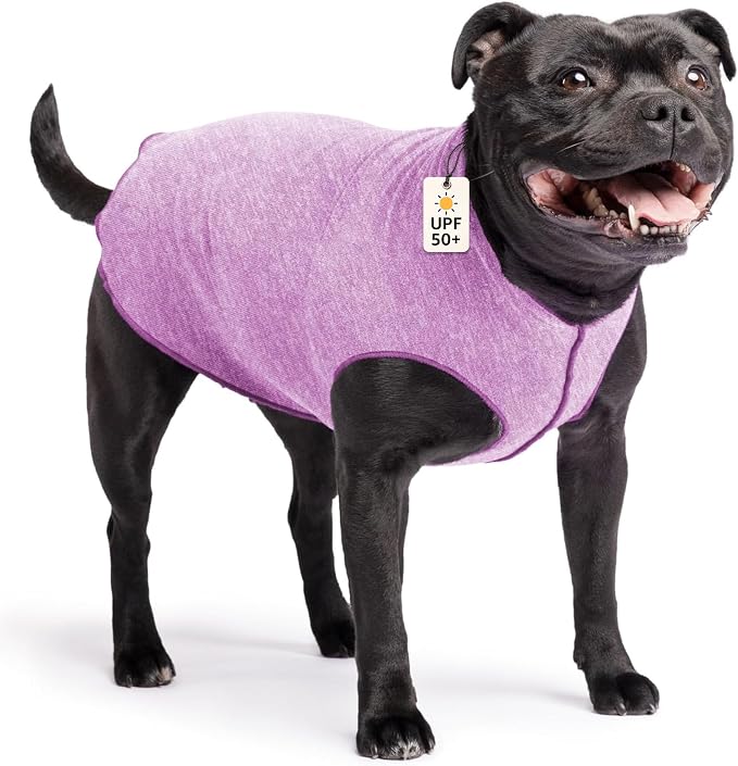Goldpaw Dog Sun Shirt with UV Protection - Lightweight, Cooling Sun Protection Clothing for Medium Dogs - Reduce Heat Absorption - Pet Clothes Made in the USA - Machine Washable - Violet - Size 16