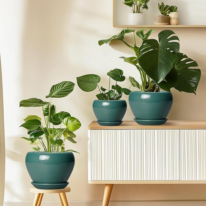 Ceramicfor 8 Inch Plant Pot - Ceramic Planter for Indoor Outdoor Plants, Glaze Modern Round Ceramic Flower Pot with Drainage Hole and Saucer, Gifts for Plant Lover, Home Office Patio Decor, Green