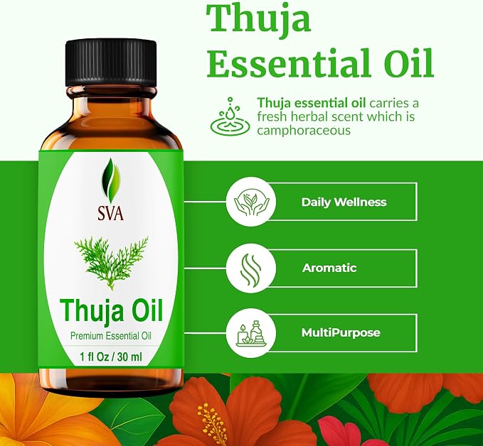 SVA Thuja Essential Oil 1 Fl Oz – for Diffuser, Skin & Hair Care – Ideal for Massage & DIY Blends - with Dropper