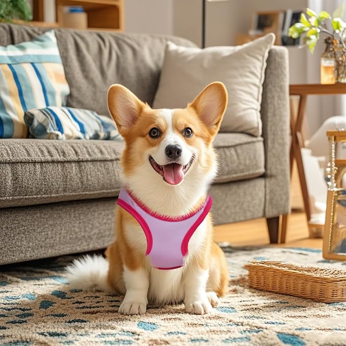 Pistha 4 Pack Dog Shirts Summer Printed Puppy Clothes Cute Sleeveless Pet T Shirts Dog Clothes for Small Medium Dogs Cats Girl(L)