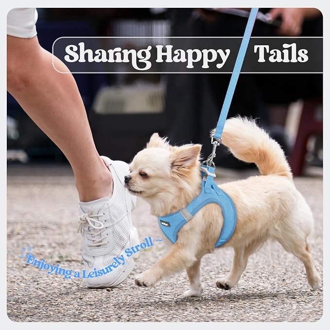 rabbitgoo Dog Harness Medium Sized and Leash Set, Step-in Puppy Pet Vest | Light, Soft, Breathable Air Mesh, Easy on and Remove with Hook & Loop, Secure Reflective for Walking, Blue L