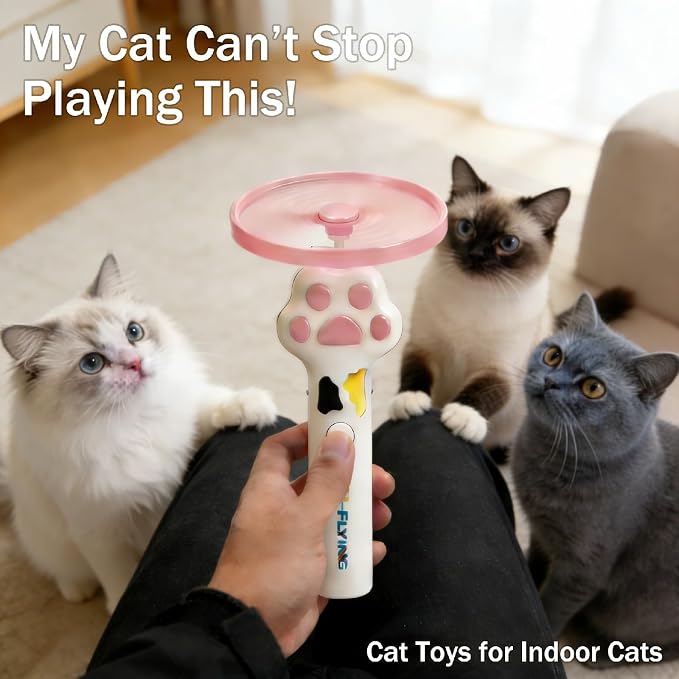 10Pcs Cat Toy Flying Discs, Interactive Cat Fetch Toy for Indoor Cats, Chasing Hunting Training Toys for Kittens & Adult Cats（10Pcs）
