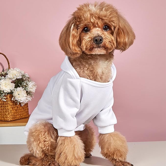 Soft Dog Hoodies for Small Dogs, Warm Fleece Puppy Clothes with Pocket | Jecikelon cold weather coat, cute puppy costume, breathable sweatshirt for dogs girl & boy, machine washable, easy on & off