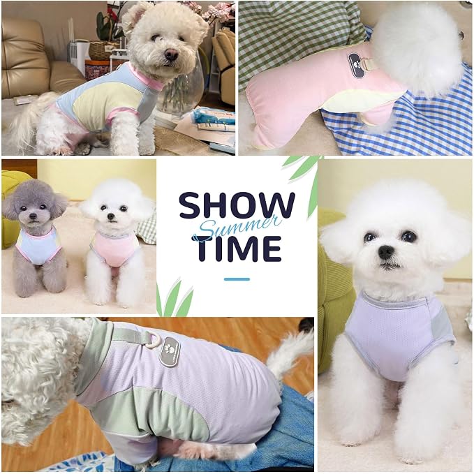 Dog Cooling Vest with D-Ring Dog Beach Tshirt Sun Protection Small Puppy Clothes for Girls Boys Stretchy Shirts for Dogs Lightweight Breathable Shirt French Bulldog Frenchie Dachshund Clothes