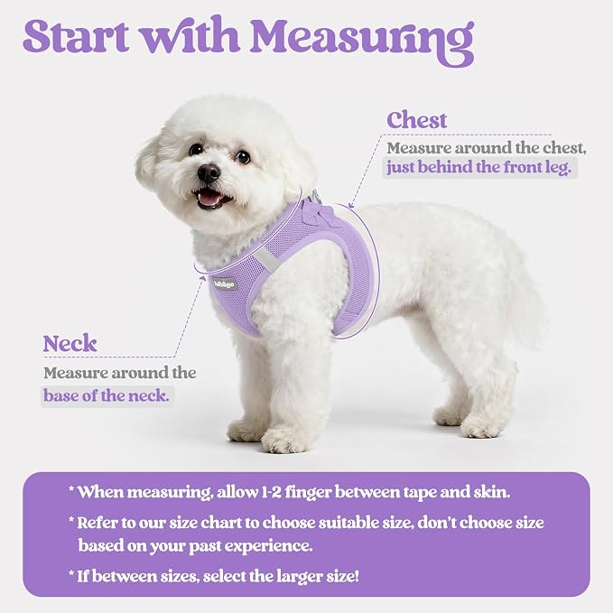 rabbitgoo Dog Harness Medium Sized and Leash Set, Step-in Puppy Pet Vest | Light, Soft, Breathable Air Mesh, Easy on and Remove with Hook & Loop, Secure Reflective for Walking, Light Purple XL