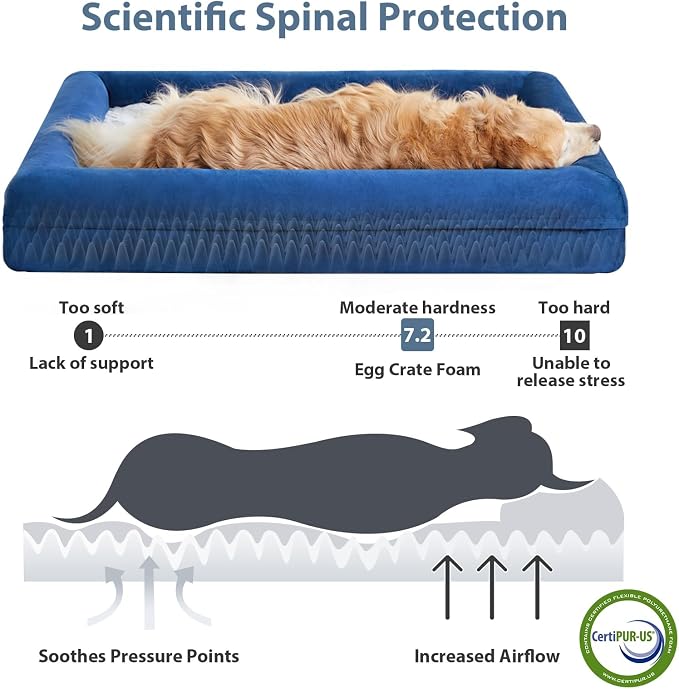 WNPETHOME Giant Dog Bed Orthopedic for Senior Dog Bed Comfy Sleeping | Washable Waterproof Dog Couch with Removable Cover, Large Pet Sofa Bed with Bolster Sides for Relaxing Blue 61x43 Inch