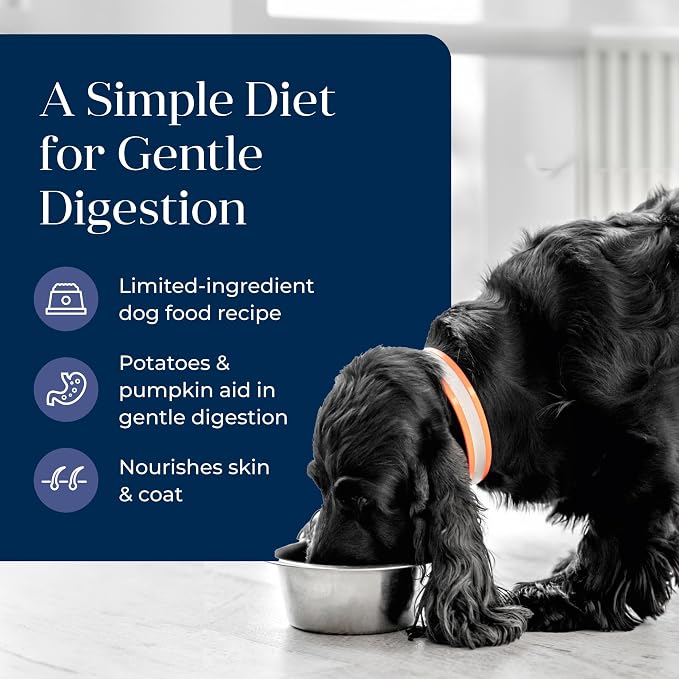 Blue Buffalo Basics Duck Adult Grain-Free Wet Dog Food, 12.5 oz, 12 ct | Skin & Stomach Care, Real Duck #1 Ingredient, Limited Ingredient Diet, Antioxidant-Rich LifeSource Bits, Skin & Coat Health