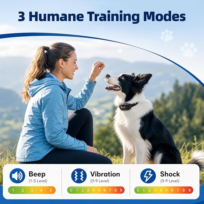 GPS Wireless Fence System for Dogs, Invisible Electric Fence for Medium Large Dogs, IP68 Waterproof, Circular/Irregular Boundary 49-6561FT, No Subscription Perimeter Collar, Outdoor(Black)