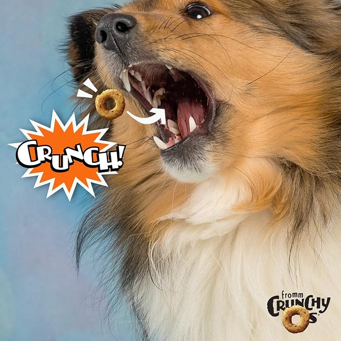 Fromm Crunchy Os Peanut Butter Jammers Dog Treats - 26 oz
