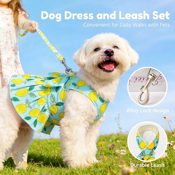 BAEJMJK Dog Dress Bowknot Harness Leash Set for Small Dogs Cats Girl Floral Princess Dog Dresses Cute Puppy Fruit Clothes Pet Doggy Outfits Spring Summer Breathable Dresses(Green,X-Small)