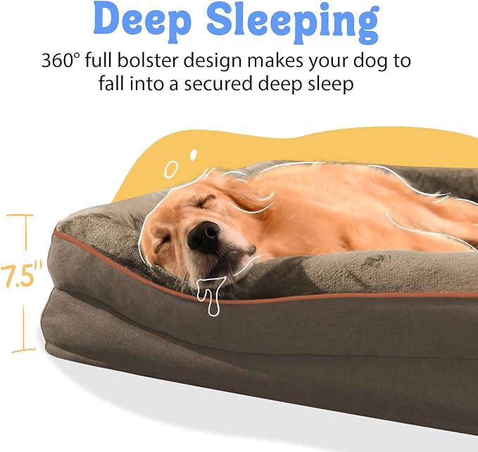 Orthopedic Washable XXL Dog Bed for Extra Large Dogs | Egg Crate Foam, 4-Sided Bolster Support, Waterproof Liner, Non-Slip Bottom, Removable Bolster Cover, 45 x 35 Inch