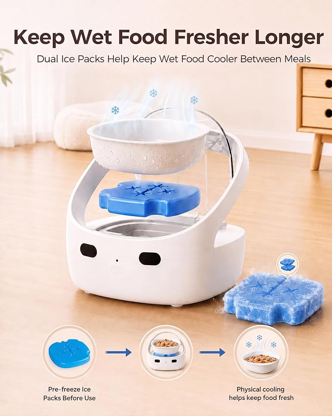 RFID Collar Cat Feeder for Multi-Cat Homes, Helps Reduce Stealing