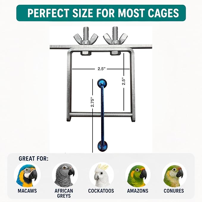 Bird Toys for Large Birds (Spinner) Stainless Steel Bird Toy with Traveling Spinner | Macaw Toys | Durable Puzzle Enrichment Toy for Medium to Large Birds Cockatoos Parrots | Bird Cage Accessories
