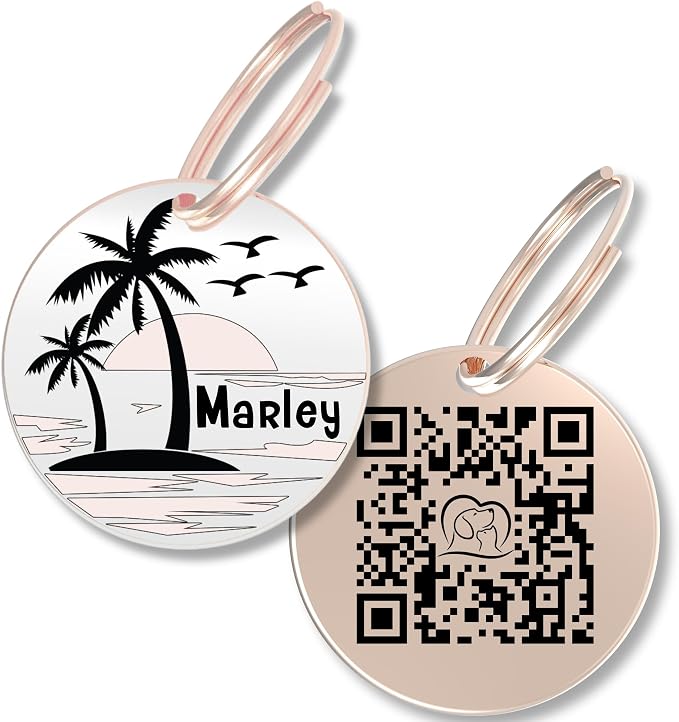 PawFurEver QR Code Dog Tag - Custom Dog Tags/Pet ID Tags for Dogs, Engraved Dog Tag & Pet Tag, Stainless Steel Dog Tags Personalized for Pets (Beach, Rose)