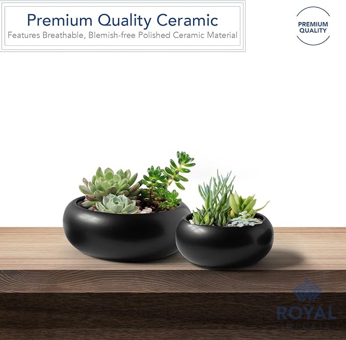 Royal Imports Flower Ceramic Vase Bowl Terrarium Planter Set of 2 - Black | Bowl Terrarium Succulent Planter, Air Plant Display, Decorative Centerpiece Floral Container for Home or Wedding