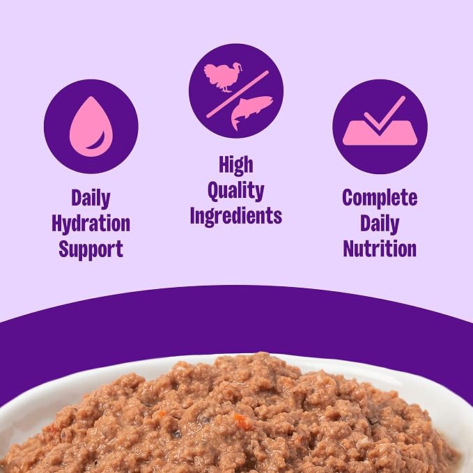 Wellness Complete Health Pate Adult Wet Cat Food,Natural,Protein-Rich,Grain Free,3 Ounce,(Turkey & Salmon),(Pack of 48)