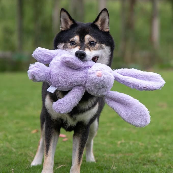 Best Pet Supplies Bunny Buddy Squeaky Plush Dog Toy - Purple, Small | Soft Plush, Squeaks & Crinkles, Perfect for Moderate Chewers, Toss & Fetch Play, Stress & Anxiety Reliever, Ideal Gift Toy