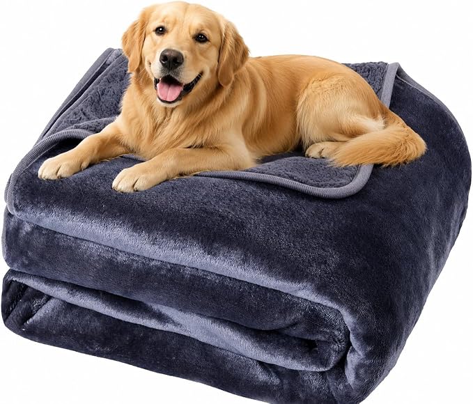 Waterproof Pet Blanket for Dogs and Cats, Soft Sherpa Fleece Throw Blanket 50 * 60inch Solid Grey