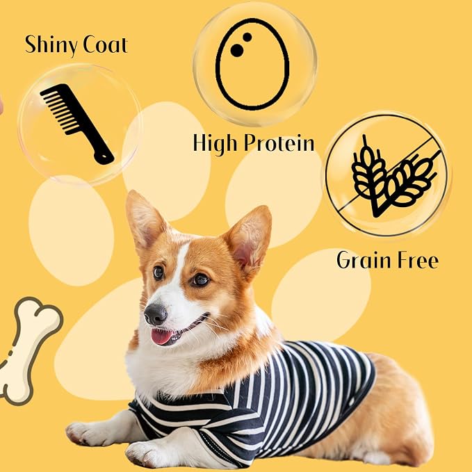 Dog Treats, Chicken Chips Grain Free Chewy Dog Snacks | Training Rewards for Small Medium Large Dogs