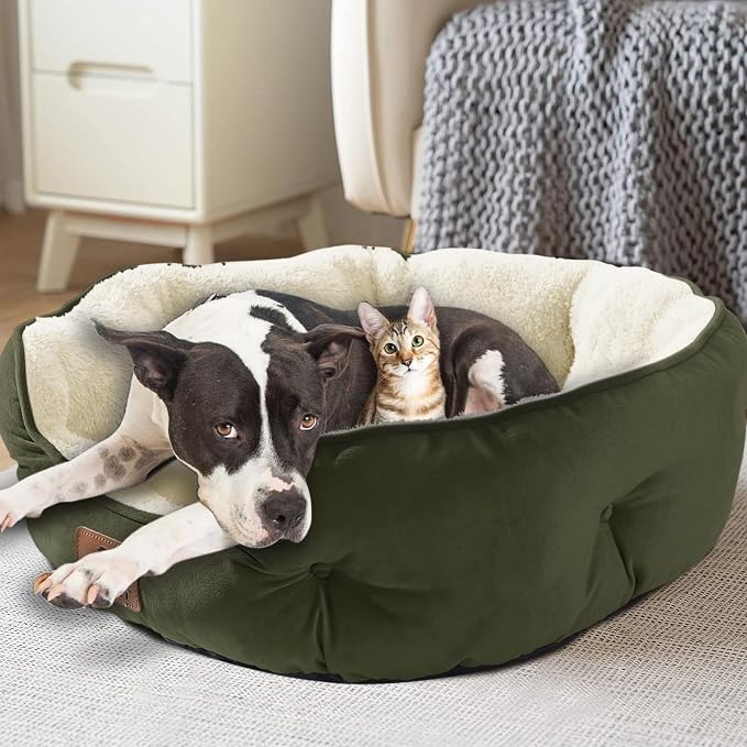 Medium Dog Bed for Medium Dogs, Cat Beds for Indoor Cats, Pet Bed for Puppy and Kitty, Extra Soft & Machine Washable with Anti-Slip & Water-Resistant Oxford Bottom, Green, 25 inches