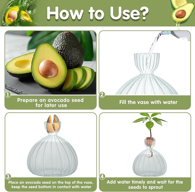 Large Avocado Grow Vase Glass Striped Acorn Seed Starter Vase for Growing | Premium Glass Avocados Growing Vases, Clear Avocados Pit Planter Pot, Ideal for Gardening Lover Indoor Hydroponics