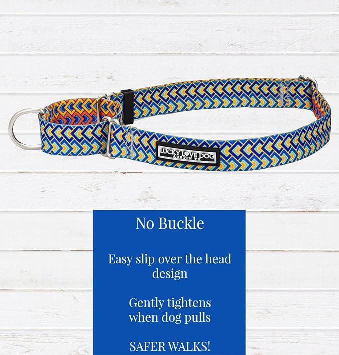 Lucky Love Dog Martingale Collar & Leash Set No Slip Cute – Murphy, Medium