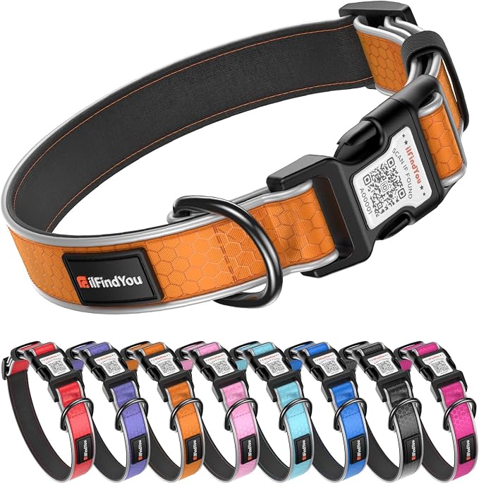 Personalized Dog Collar with QR Code Dog Tag, Oxford Orange M | Anti-lost, Oxford, reflective, padded, XS-L(8"-24"), QR buckle shares lost pet profile, location alerts when scanned, No Fees
