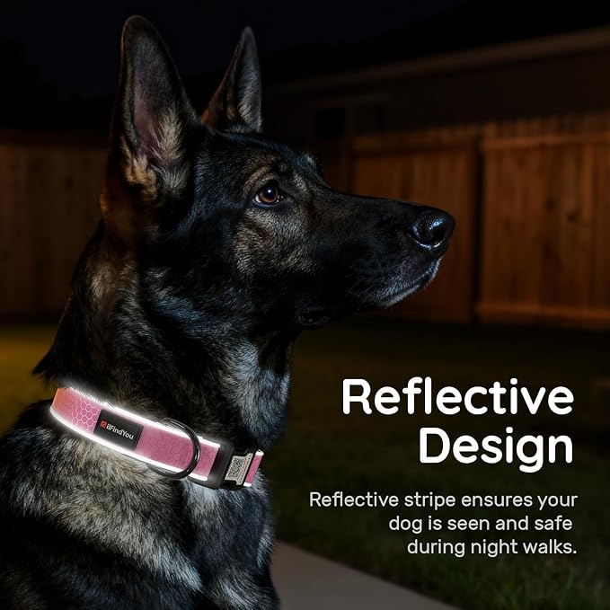 Personalized Dog Collar with QR Code Dog Tag, Oxford Pink L | Anti-lost, Oxford, reflective, padded, XS-L(8"-24"), QR buckle shares lost pet profile, location alerts when scanned, No Fees