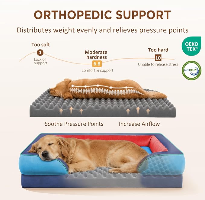 Comfort Expression Orthopedic Dog Bed for Extra Large Dogs with Bolster | Waterproof Dog Couch Bed with Washable Cover & Non-Slip Bottom, Supportive Egg Crate Foam XL Pet Bed, 42x30 Inch