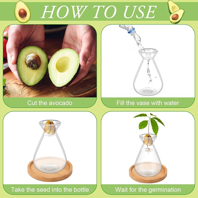 6Pcs Small Avocado Seed Starter Vase with Bamboo Base Avocado Tree Growing Vase Kit Avocado Seed Sprout Starter Vase Planter Pot Easy Seed Gift Plant Glass for Acorn Garlic Vines Root Seeds