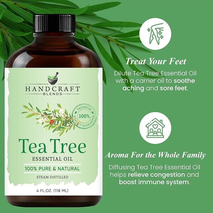 Handcraft Blends Clean & Herbal Set: Rosemary and Tea Tree Essential Oils – (2 x 4 Fl Oz) – 100% Pure & Natural – for Diffuser, Aromatherapy, and DIY Projects