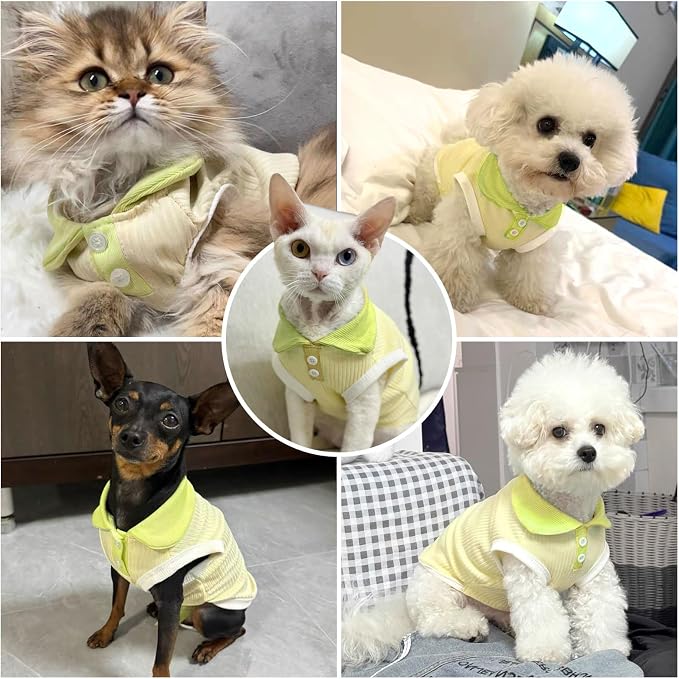 Dog Tshirts for Small Dogs Polo Shirt Stretchy Dog T Shirt Breathable Dogs Cooling Vest Girl Boy Puppy Dachshund French Bulldog Frenchie Chihuahua Clothes