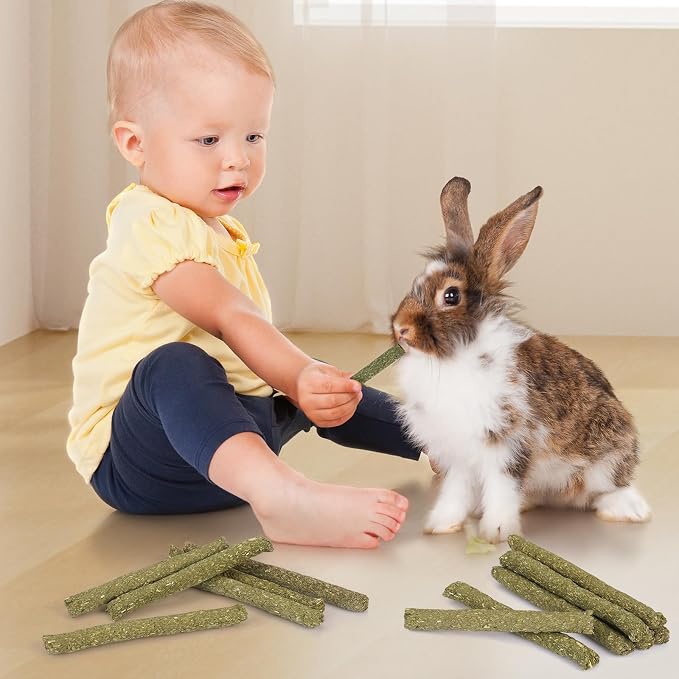 52Pcs Rabbit Chew Sticks, Guinea Pig Toys, Natural Timothy Hay Teeth Stick