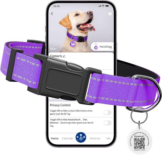 Personalized Dog Collar with QR Code Tag, Puple, Small | Reflective Dog Collar for Girl Dogs, Quick Release Buckle, Adjustable and Comfortable Nylon Pet Collar