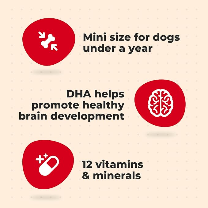 Milk-Bone Original Biscuits Dog Treats for Puppies, 6 Boxes | 16-oz. boxes, 250+ puppy treats per box, Mini size, Training treats, Made with DHA to help promote healthy brain development