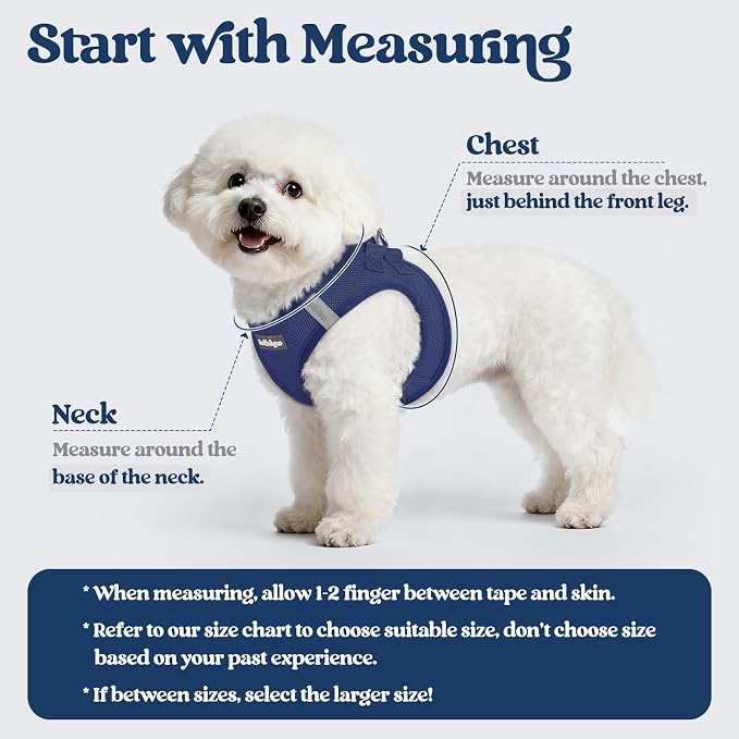rabbitgoo Dog Harness Small Sized and Leash Set, Step-in Puppy Pet Vest | Light, Soft, Breathable Air Mesh, Easy on and Remove with Hook & Loop, Secure Reflective for Walking, Navy Blue XXS
