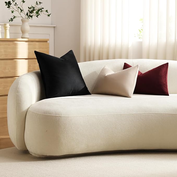 Throw Pillow Covers 22x22 Black: Pack of 2 Cozy Soft Velvet Square Modern Luxury Decorative Throw Pillow Cases for Sofa Couch Living Room Bed Home Decor