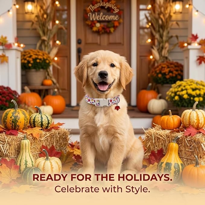 Fall Dog Collar, Dog Collar for Medium Dogs, M
