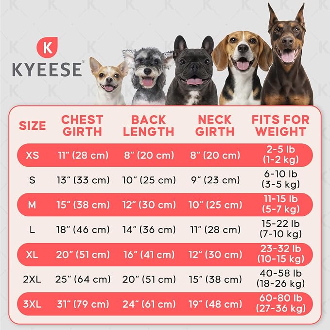KYEESE Velvet Dog Pajamas for Small Medium Dogs Soft Onesie, Colorful Duck | 4-Way Stretch, Lightweight & Breathable, Reduces Shedding, Gentle on Sensitive Skin, Recovery Support, Easy Potty Breaks