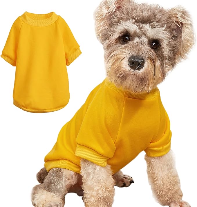 Soft Puppy Sweater for Small Dogs Winter Pullover, Yellow XL | Elastic Cuffs Pet Clothes, Holiday Party Matching, Fall Winter Daily Outfit, Soft Breathable Machine Washable Sweatshirt