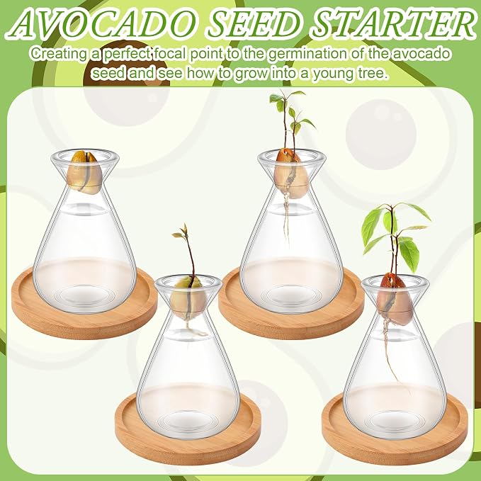 6Pcs Small Avocado Seed Starter Vase with Bamboo Base Avocado Tree Growing Vase Kit Avocado Seed Sprout Starter Vase Planter Pot Easy Seed Gift Plant Glass for Acorn Garlic Vines Root Seeds