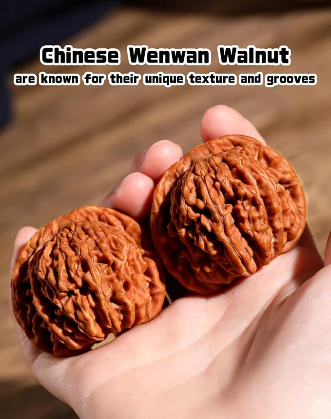Jade Walnuts - 2026 Chinese Wenwan Walnut, Polishing Walnuts Fidget with Storage Box, Hand-Polished Natural Walnut Stress Relievers, For Meditation, Focus, And Collectors (Pointed Hat A, 1.61-1.65in)