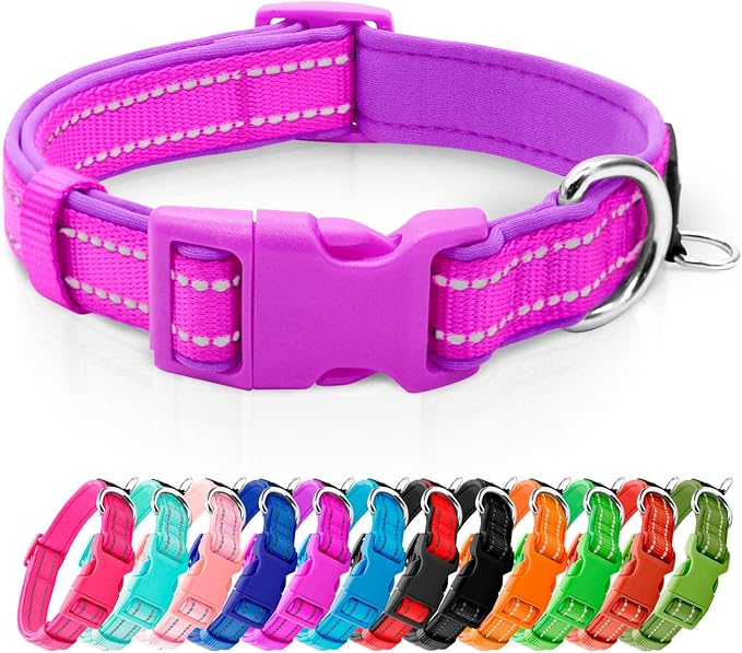 azuza Reflective Dog Collar, Neoprene Padded Medium Dog Collar, Purple, M