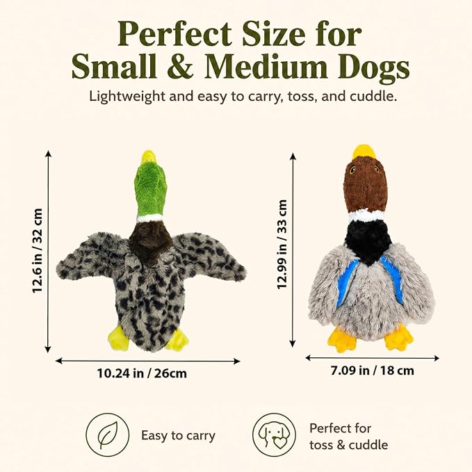Stuffing-Free Duck Dog Toys, 2 Pack Plush Squeaky Toys with 6 Total Squeakers for Small Medium Dogs, Hollow Body Toys for Interactive Play
