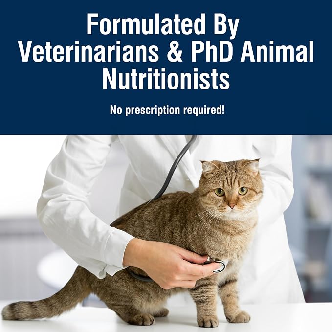 Blue Buffalo True Solutions Hairball Control Chicken Dry Cat Food, 11 lb | Adult Formula, Reduces Hairballs, Clinically Proven Prebiotic Fiber, Veterinarian Formulated