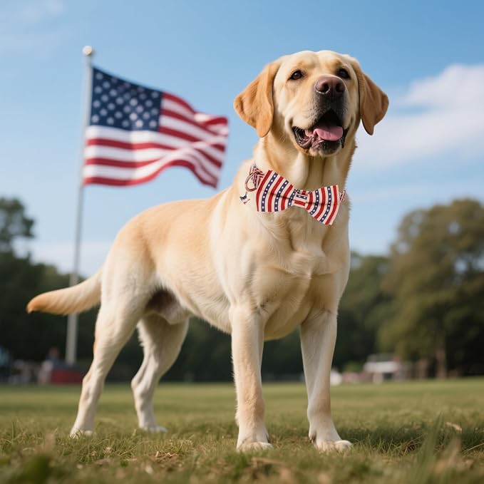 ADOGGYGO American Flag Dog Collar with Bow, Detachable Striped Star Bow, Metal Buckle, Adjustable Patriotic 4th of July Collars for Medium Dogs Boy Girl Male Female (Medium)