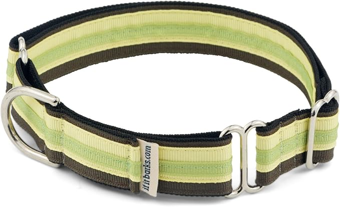 If It Barks 1" Martingale Collar for Dogs, Adjustable Nylon, USA Made, Large, Key Lime Pie